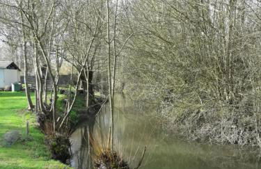 Le logis de LANGE apt Les Aigrettes - Foto 53