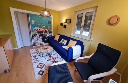 Les Chouchous du Ried 1 - Foto 3