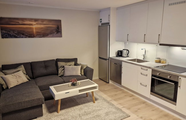 Haugetuft Apartments - Photo 39