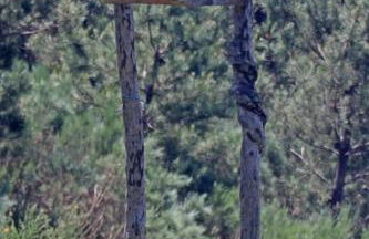 Casa do Monte 2 - Foto 14