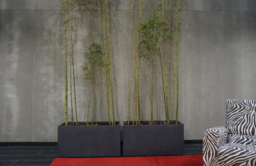 Lumen Place APARTAMENTOS - Foto 64