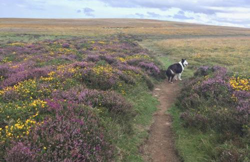 Polly's Barn, Penrhyn - Foto 29