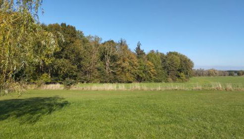 "Haus Seegang" für Naturliebhaber, strandnah, ruhig, mit großem Garten - Foto 5, Garden view