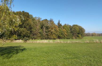 "Haus Seegang" für Naturliebhaber, strandnah, ruhig, mit großem Garten - Foto 5