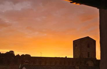 The Optimist's House - Foto 12