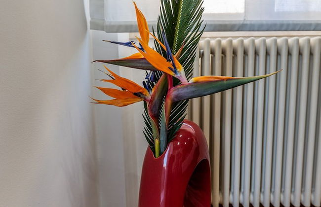 I Barcaioli - Foto 24