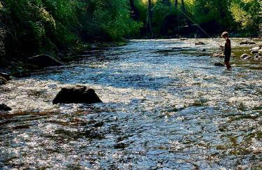 Jocko River Retreat - A Nature Lovers Dream - Foto 31