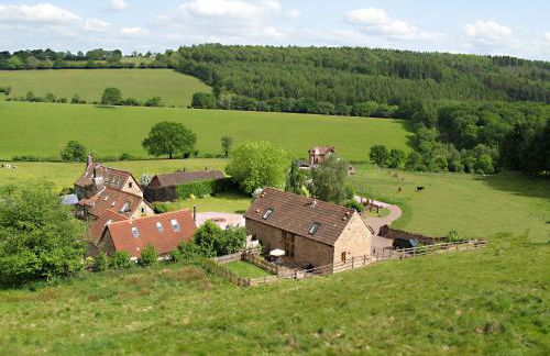 Get-Togethers with function room - Foto 1