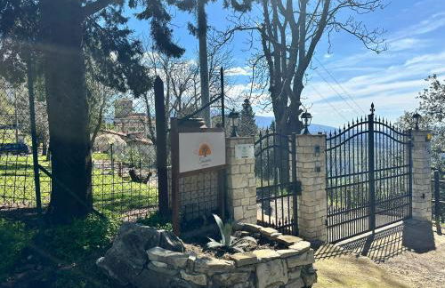 Agriturismo Tassinaia - Foto 23