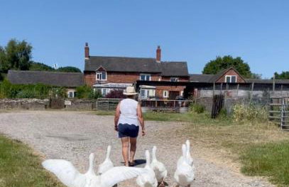 Stag Cottage - Foto 16