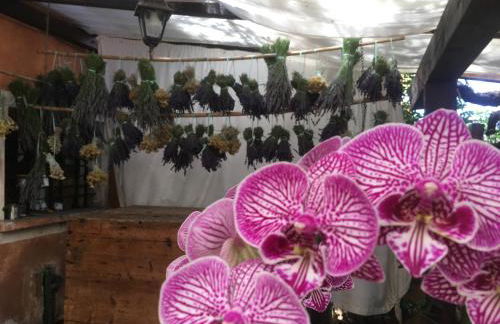 Agriturismo La Casa delle Fate - Photo 74