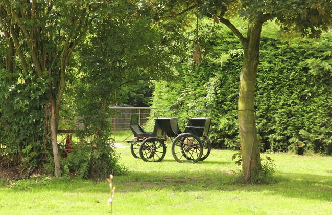 Cozy Cottage in Bergen With Terrace - Foto 39