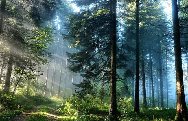 Sunny Villa, a Perfect Spacious Villa With Private Pool, Wifi & Ac in all Rooms - Foto 17