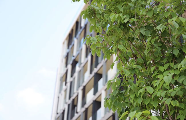 Apartments Royal - Sakura Park - Photo 44