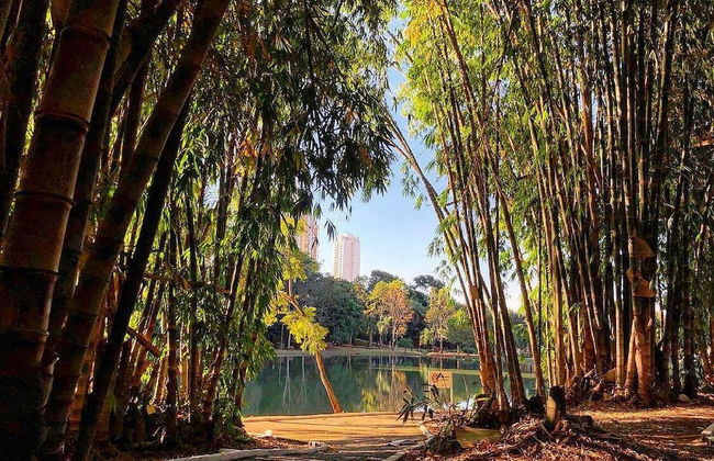 Hotel Areião - Photo 33