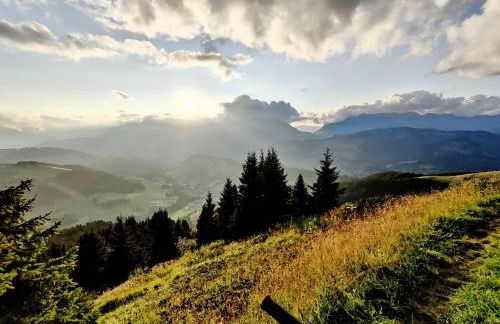 Chez Francine - Photo 36