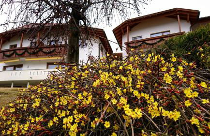 Residence Sonnberg - Foto 26