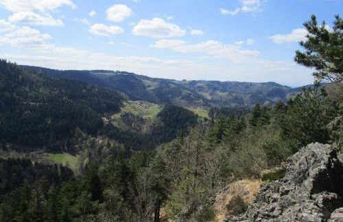 Ferienwohnung Sylvianne - Foto 24