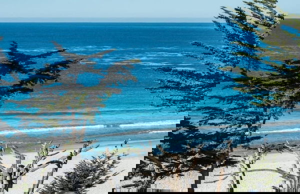 Lx22: Luxury Estate Carmel By The Sea - Foto 19