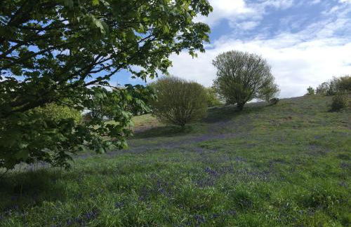 Apple Blossom - Photo 35