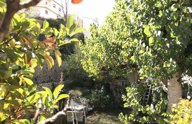 El Palacil - Foto 23