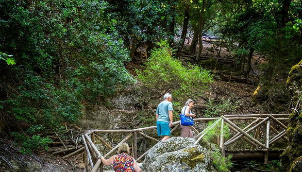 Tour dei villaggi di Rodi occidentali e della Valle delle farfalle - Foto 4