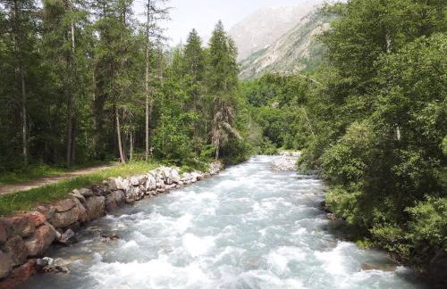 LES ECRINS - Foto 18