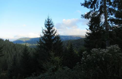 Ferienwohnung-Schoenmuenzblick-Urlaub-im-Nationalpark-Schwarzwald-Schwarzwald-Plus-inklusive - Photo 44