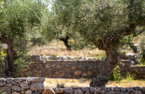 Searocks Exclusive Village - Photo 42