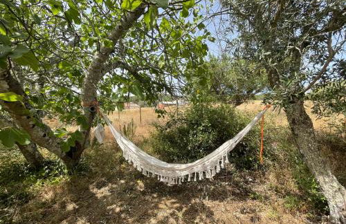 Tapada da Figueira by NaturAlegre - Foto 13