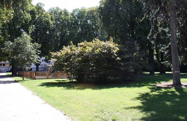 GoVienna Charming Studio - Foto 12