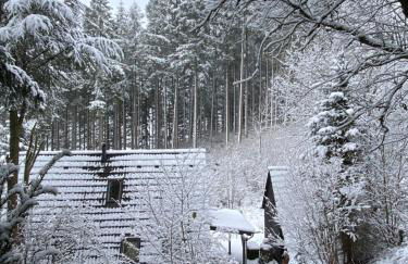 Wald-Chalet Vulkaneifel - Foto 45