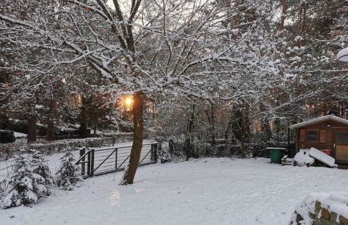 Ferienhaus Seensucht - Natur am See & im Wald mit Kamin - Foto 14