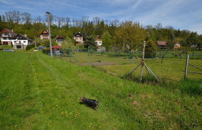 Detached Cottage With Fireplace, Near the River Ohre - Foto 13