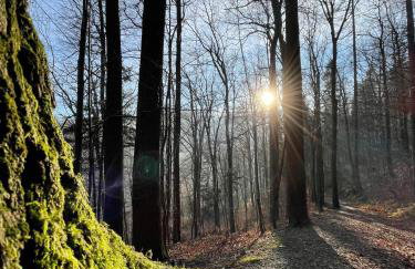 APARTAMENTY SZYNDZIELNIA RODZINNE - 2 SYPIALNIE & BALKON & GÓRY & Parking - TWOJA BAZA WYPADOWA NA SZLAKI i W GÓRY - FAMILY SPACE & BASE - Foto 59