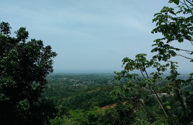 La Cruz de Colon Guest House - Photo 28