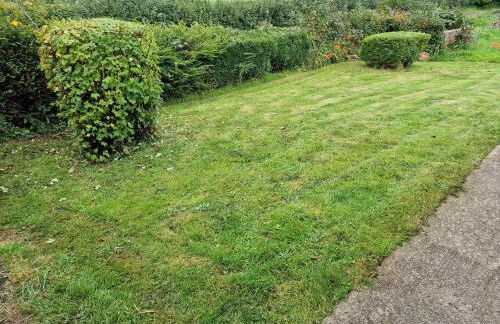 Ddol Cottage Traditional Coastal cottage nr Llangrannog & New Quay with Donkeys - Photo 9
