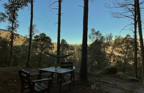Cabañita de madera en Mas Coguleras - Photo 9