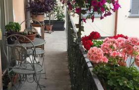 Appartamento Olga nel centro storico di Intra - Foto 1