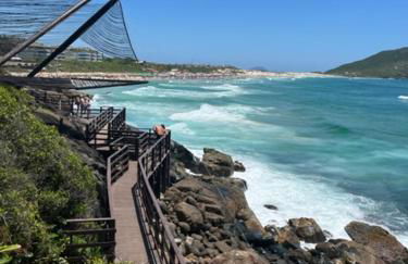 Apartamento Costão das Gaivotas - Praia do Santinho - Ingleses - Florianópolis - Photo 25