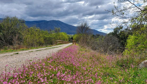 Contemplando el paisaje de la Vía Verde de la Plata