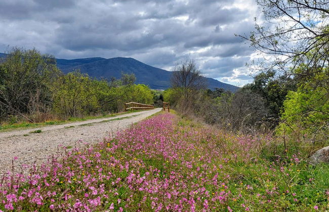 Balade à vélo le long de la Vía Verde de la Plata - Photo 1