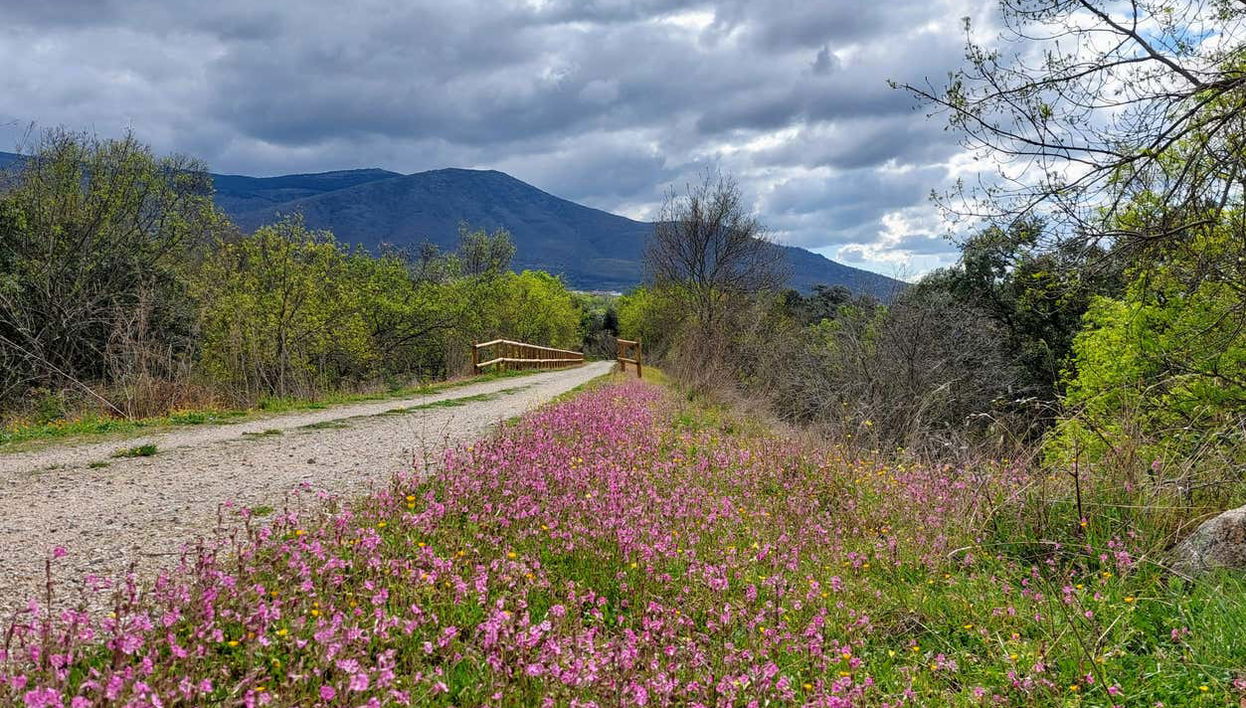 Contemplando a paisagem da Via Verde da Prata