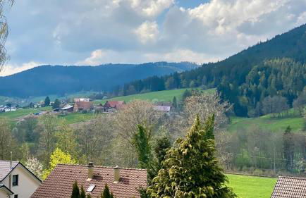 Black Forest Scenic Escape - Photo 11