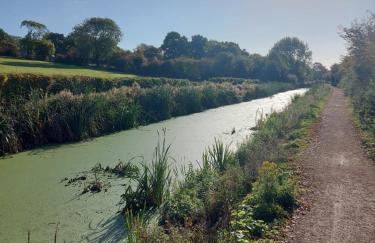 Chatterley House - Foto 67