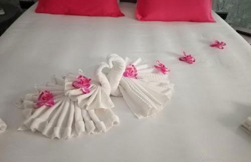 O Salgueiro - Foto 15