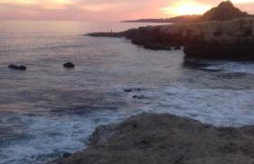 Jeannie's Oura Estrela - Foto 41