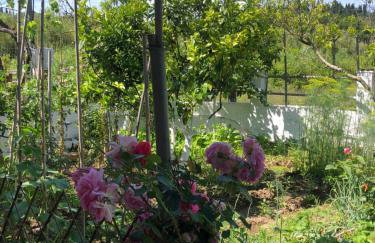 Natasha’s home - Foto 29