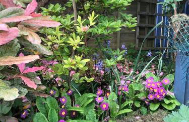 Coastal Haven - Foto 38