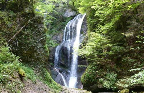 Hiemer 2 Comfortable holiday residence - Foto 37